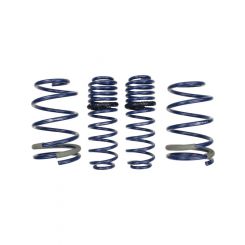 Ford Performance Track Lowering Spring Kit 05-15 Mustang GT