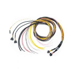 Fueltech Engine Control Harness C / D-Harness 10 ft FT700 ECU
