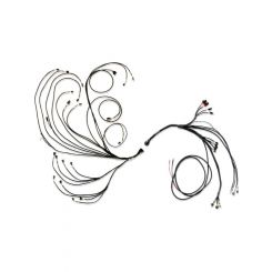 Fueltech Engine Control Harness Harnessft600 ECU to Ford V8