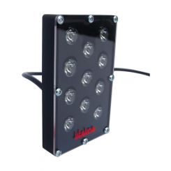 Lifeline LED Accessory Rain Light 3.94x2.44in Rectangle Red Black