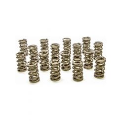 Pac Racing 1.290 Dual Valve Springs RPM Series Set of 16