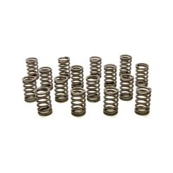 Pac Racing 1.245 Single Valve Springs RPM Series Set of 16