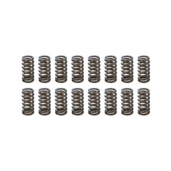 Pac Racing 1.025 Valve Springs Ovate Beehive Set of 16
