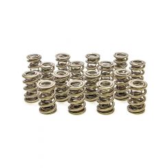 Pac Racing 1.667 Triple Valve Springs Set of 16