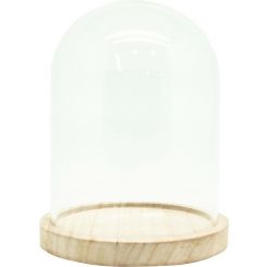Boyle Glass Cloche W/Wooden Base 12.5X12.5X17