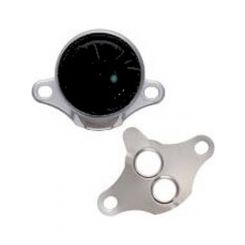 Icon EGR Valve