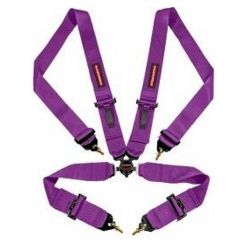 Raceworks Purple 4Point Cam Lock Harness FIA Approve