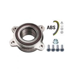 Schaeffler FAG Wheel Bearing Kit