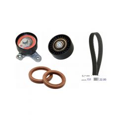 Schaeffler INA Timing Belt Kit
