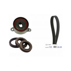 Schaeffler INA Timing Belt Kit