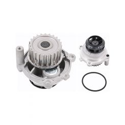 Schaeffler INA Water Pump