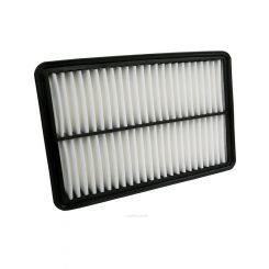 Ryco Air Filter