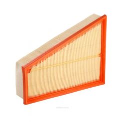 Ryco Air Filter