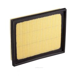 Ryco Air Filter