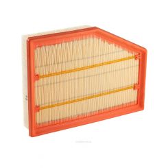 Ryco Air Filter