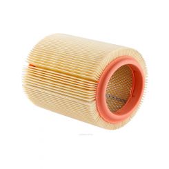 Ryco Air Filter