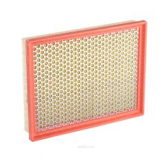 Ryco Air Filter