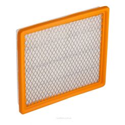 Ryco Air Filter