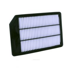Ryco Air Filter