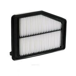 Ryco Air Filter