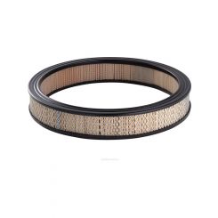 Ryco Air Filter