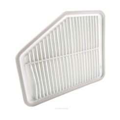 Ryco Air Filter