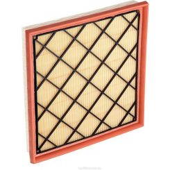 Ryco Air Filter
