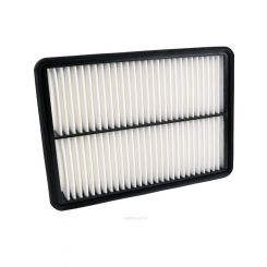 Ryco Air Filter