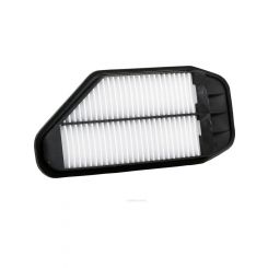 Ryco Air Filter