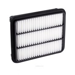 Ryco Air Filter