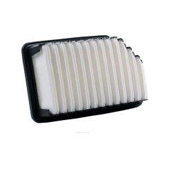 Ryco Air Filter