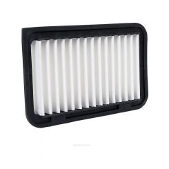 Ryco Air Filter