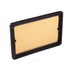 Ryco Air Filter