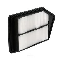 Ryco Air Filter