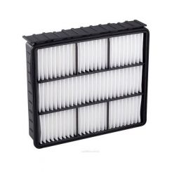 Ryco Air Filter