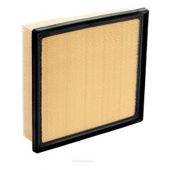 Ryco Air Filter