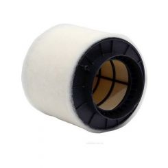 Ryco Air Filter