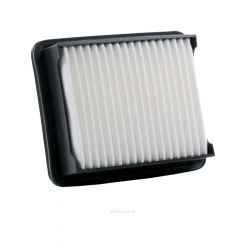 Ryco Air Filter