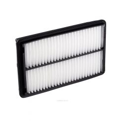 Ryco Air Filter