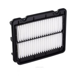 Ryco Air Filter