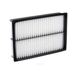 Ryco Air Filter