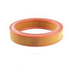 Ryco Air Filter