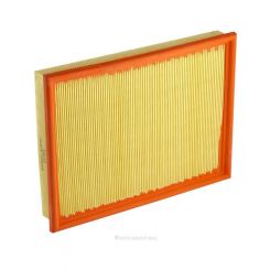 Ryco Air Filter