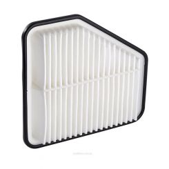 Ryco Air Filter