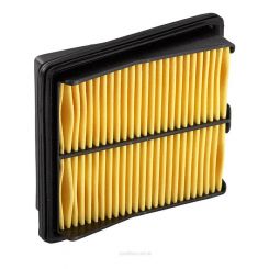 Ryco Air Filter
