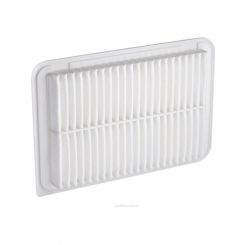 Ryco Air Filter