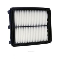 Ryco Air Filter