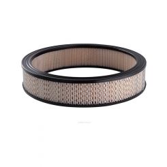 Ryco Air Filter