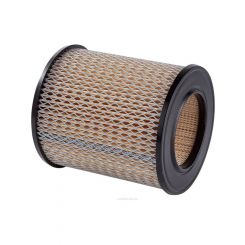 Ryco Air Filter