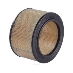 Ryco Air Filter